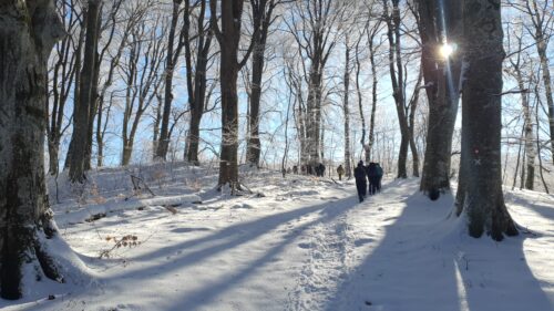 Samoborsko gorje
