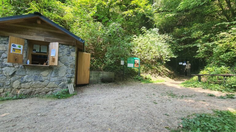 Špilja Veternica