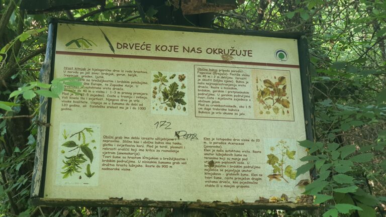 Kameni svati
