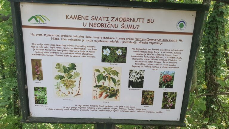 Kameni svati