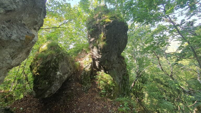 Kameni svati