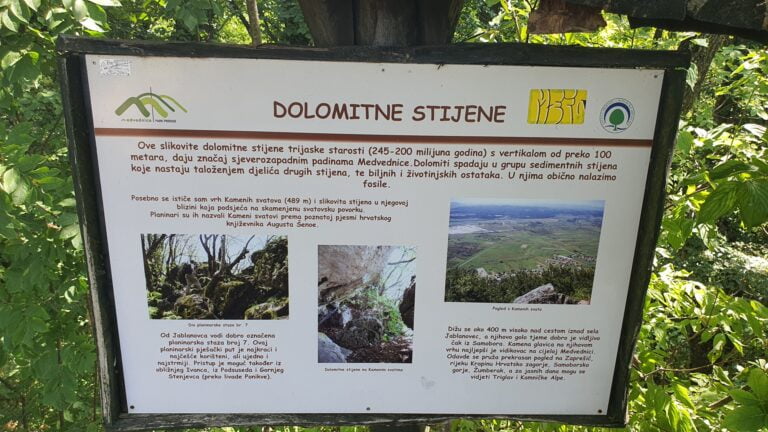 Kameni svati