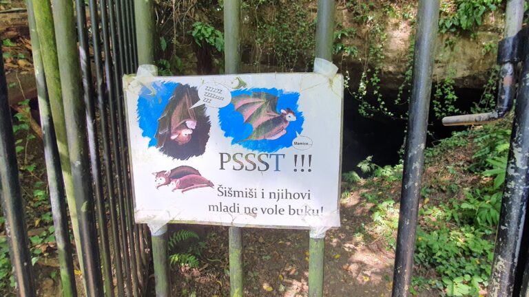 Špilja Veternica
