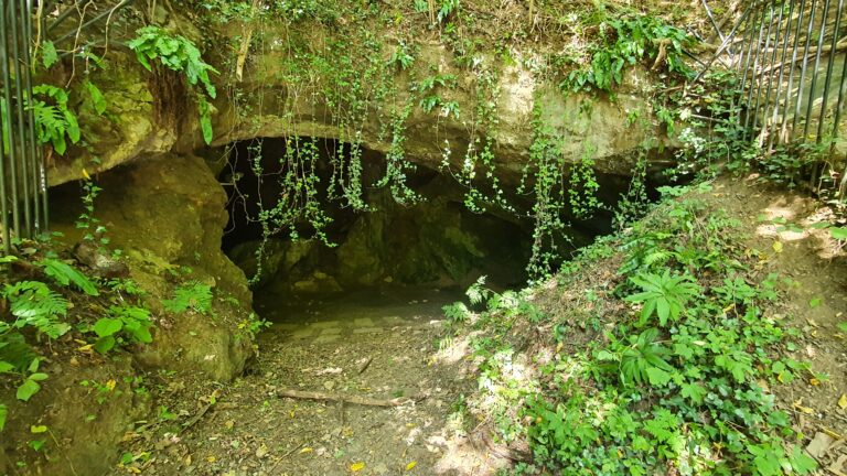 Špilja Veternica