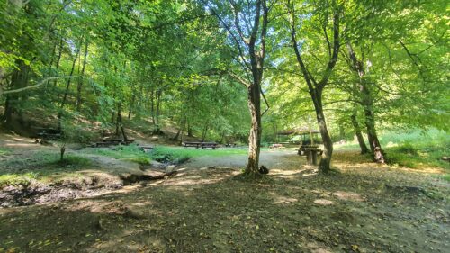 Solo Hiking & Picnic @ Vrapčanska livada