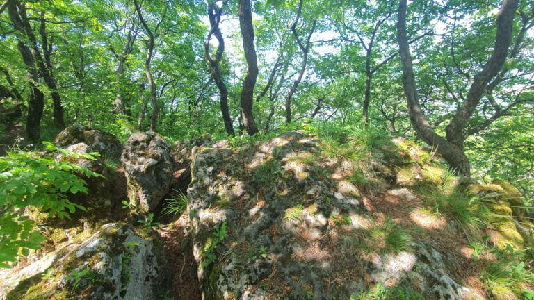 Kameni svati