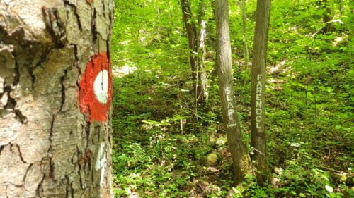 Po gradu i brdu IV. 🌳