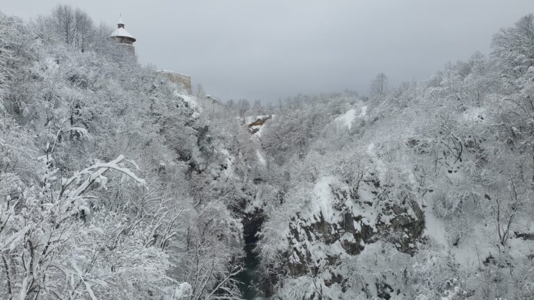 Stari grad Drežnik