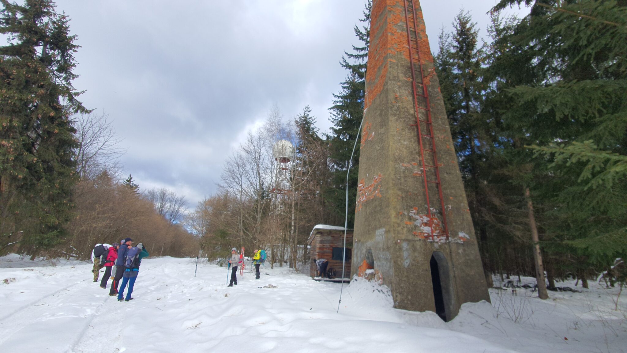 Vrh Brezovo polje 985 m