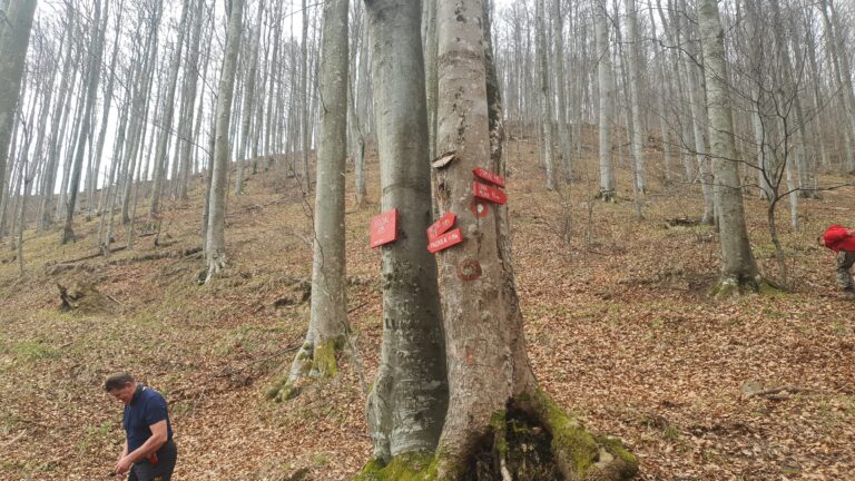 Bjelovački izvor
