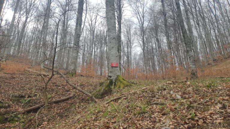 Učenički izvor