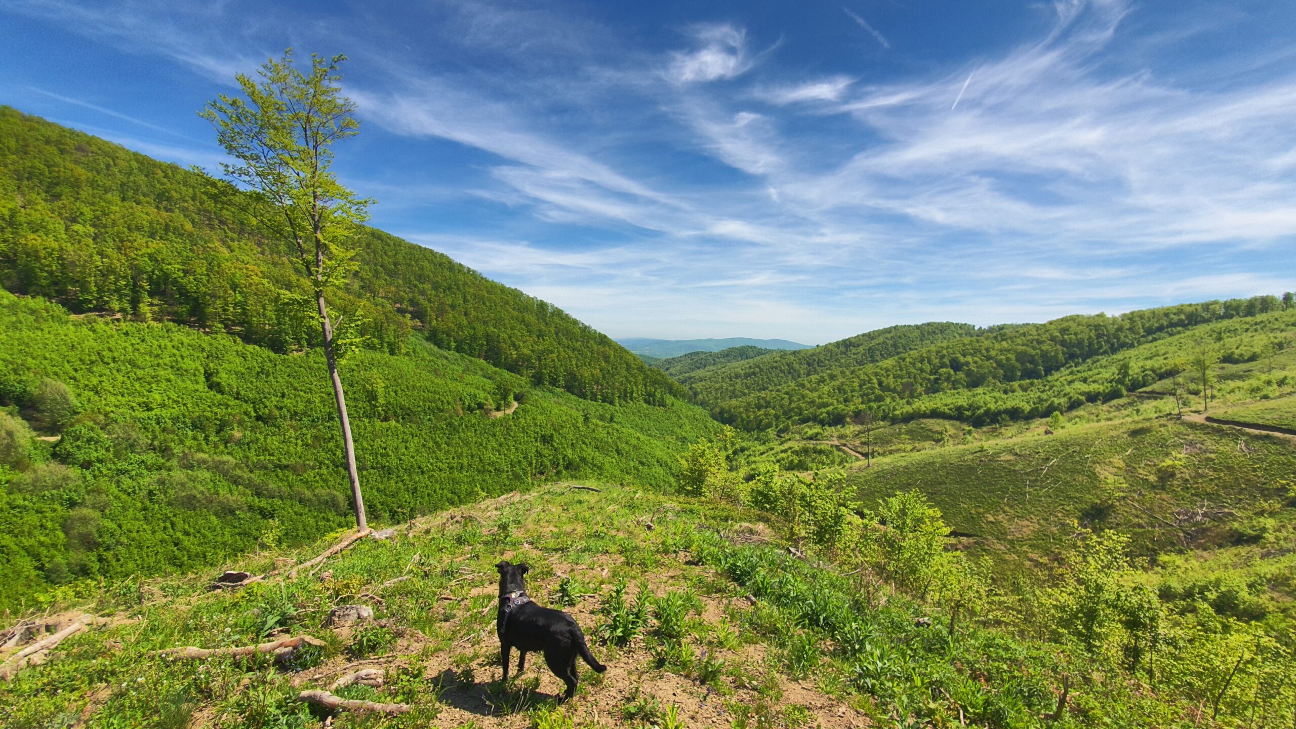 Strmac – Bjelovac – Predola