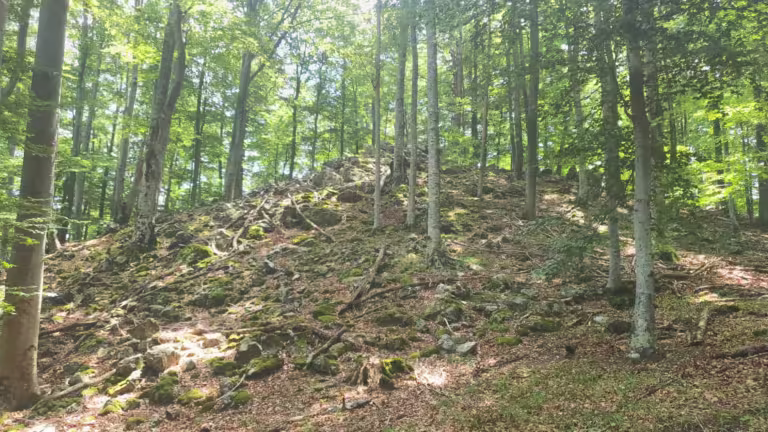 Vrh Gornji Previt 797 m