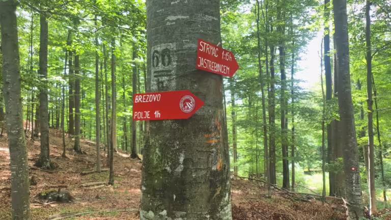 Vrh Gornji Previt 797 m