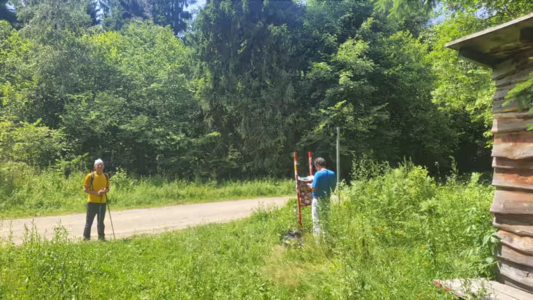 Vrh Brezovo polje 985 m