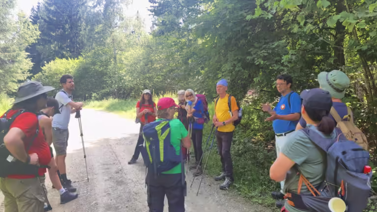Vrh Brezovo polje 985 m