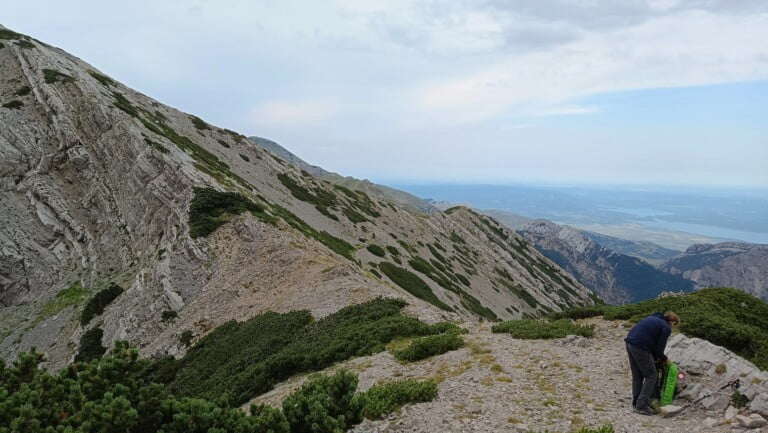 Zala Ploča