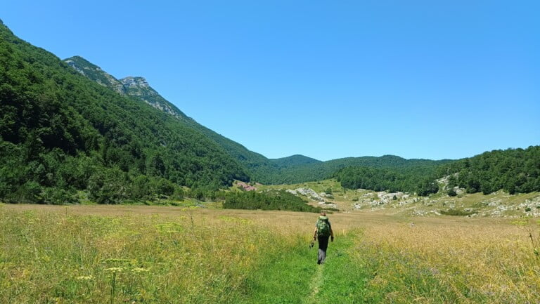 Bunovac