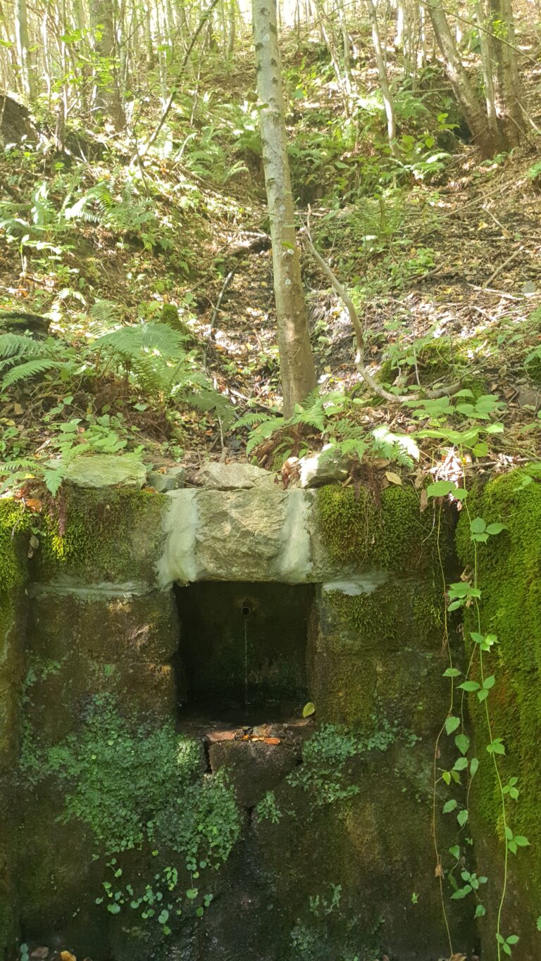 Veliki izvor