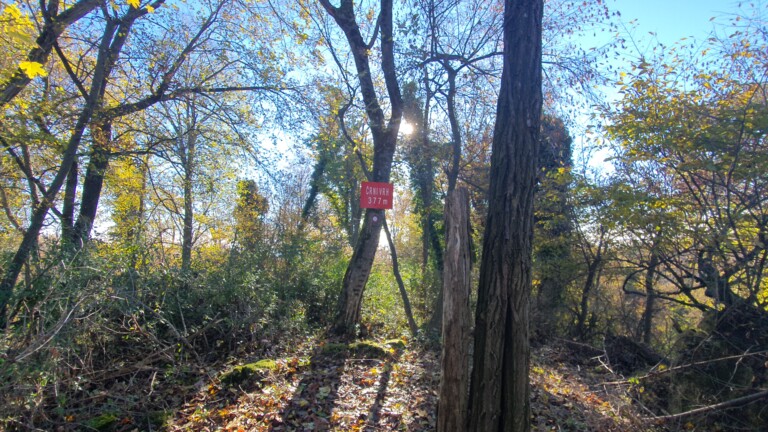 Črni vrh 377 m