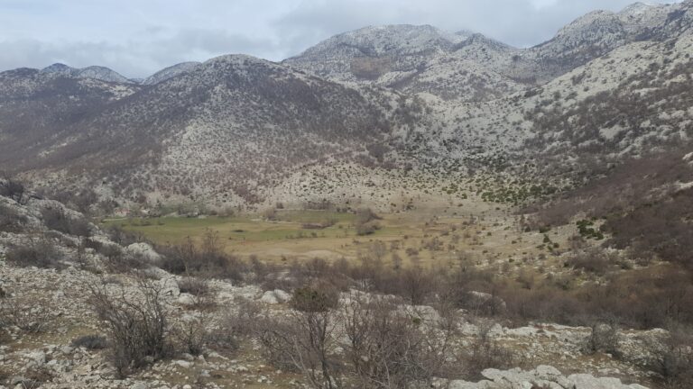 Bili Sinokos