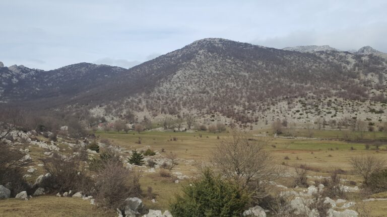 Bili Sinokos