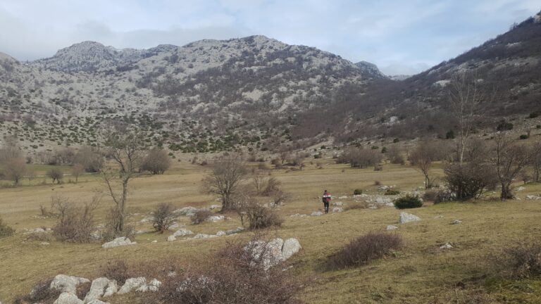 Bili Sinokos