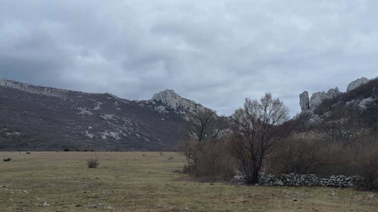 Pričatrnja polje