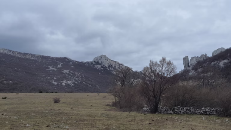 Pričatrnja polje