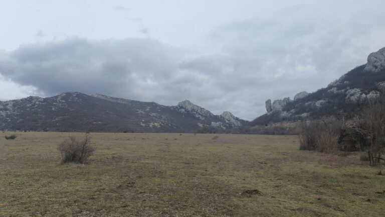 Pričatrnja polje