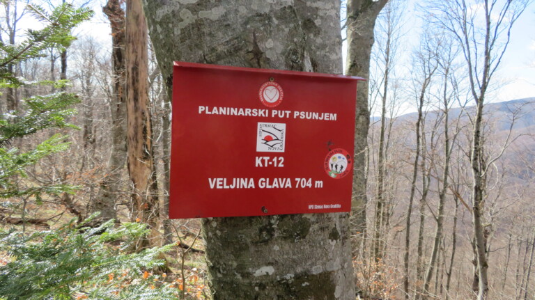Vrh Velja glava 704 m