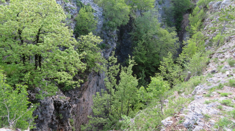 Jama Golubinka