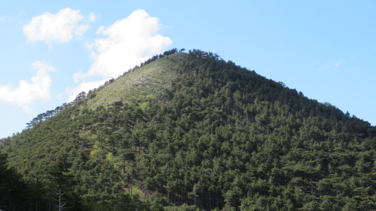 Vrh Golić 1265 m