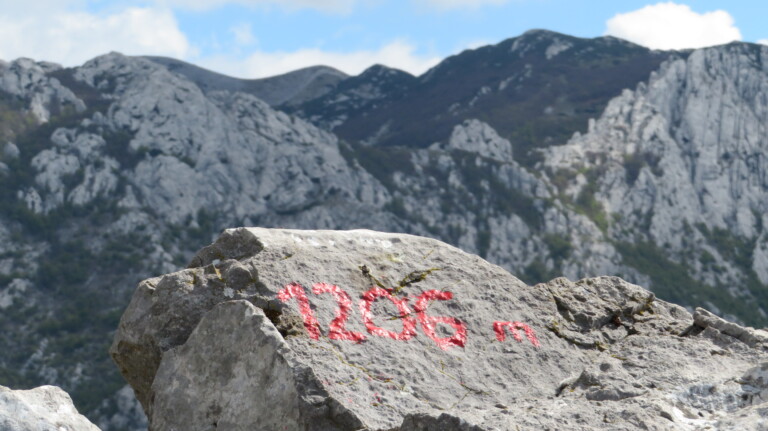 Vrh Golić 1265 m