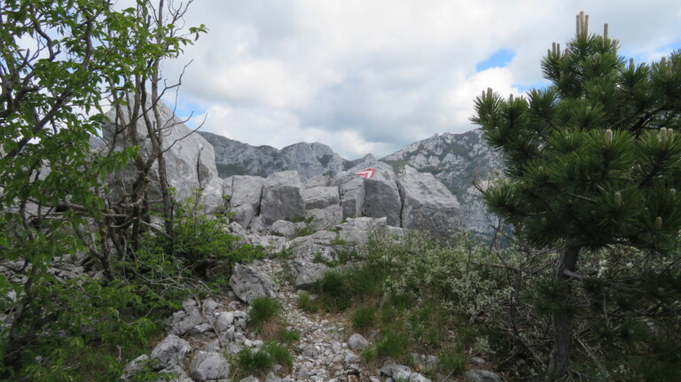 Vrh Grabar 1197 m