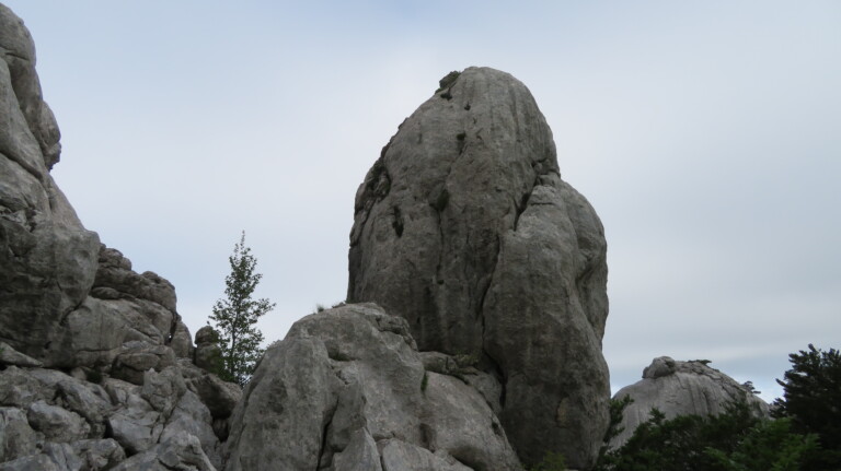 Bojinac