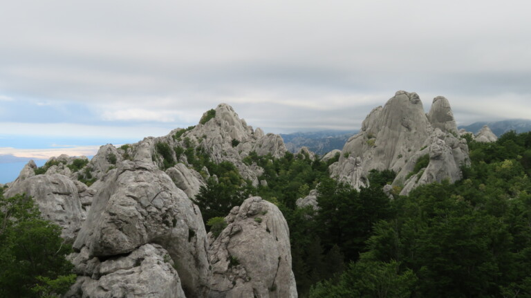 Bojinac