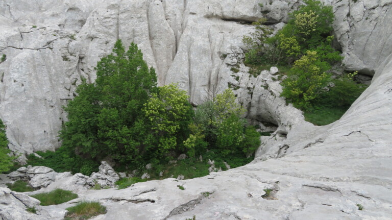 Bojinac
