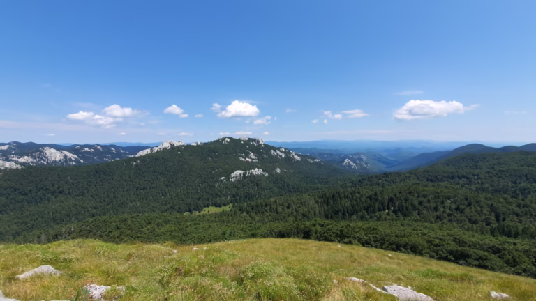 Vrh Goljak 1605 m