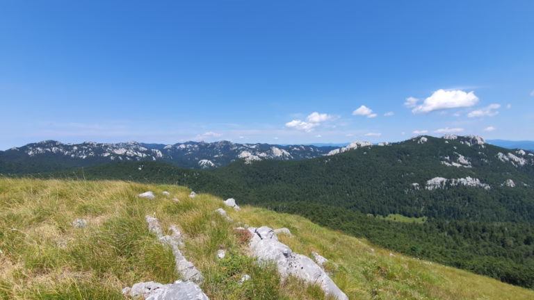 Vrh Goljak 1605 m