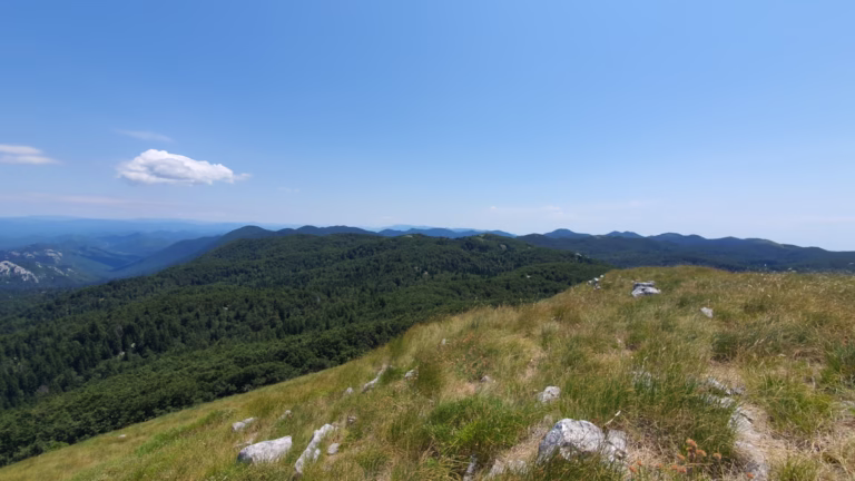 Vrh Goljak 1605 m