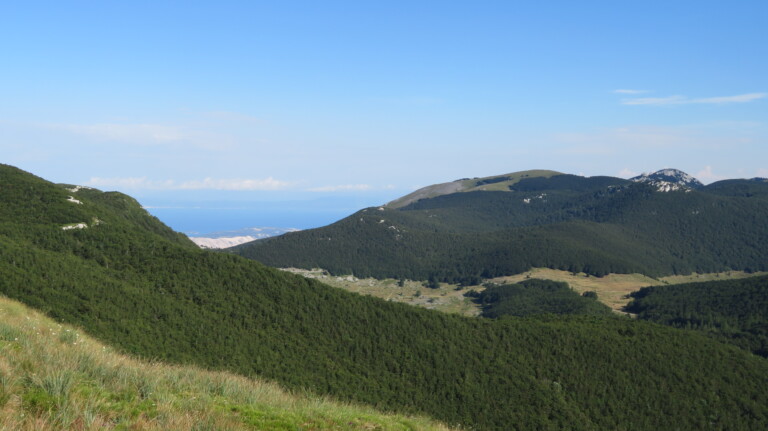 Vrh Kita 1573 m