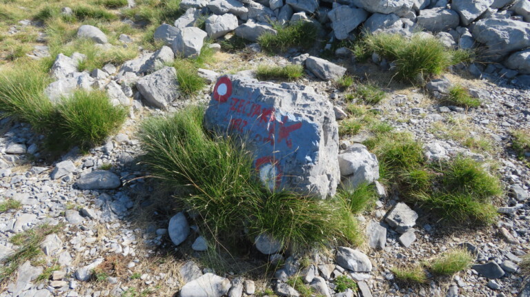 Vrh Zečjak 1622 m