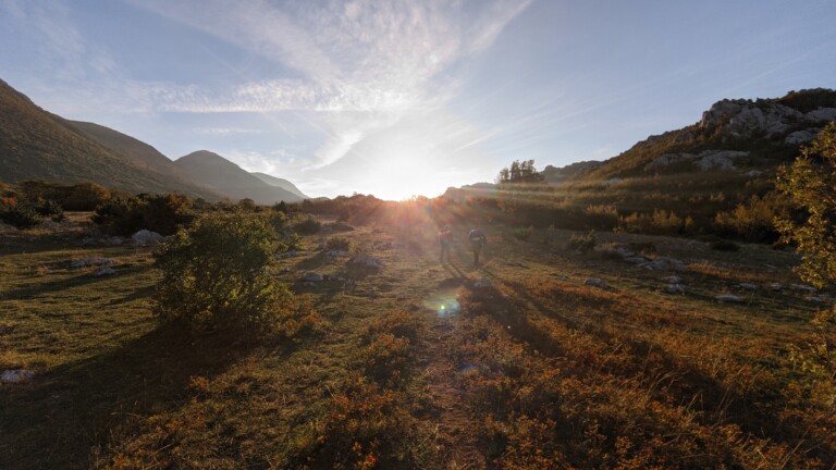 Pričatrnja polje
