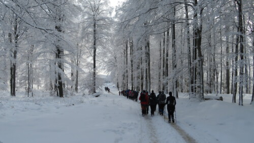 Psunjska bajka